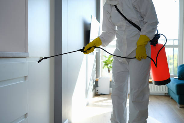 Best Industrial Mold Remediation in Robins, IA